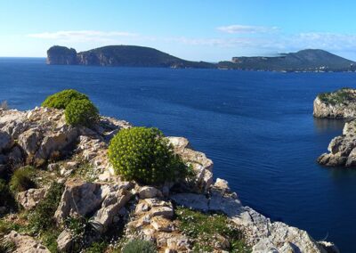 Punta Giglio